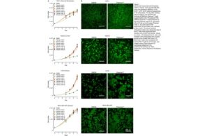 Validation of Plasmax™ growth performance compared to DMEM. Unpublished data. Similar data including growth can be found in PMID: 30613774.