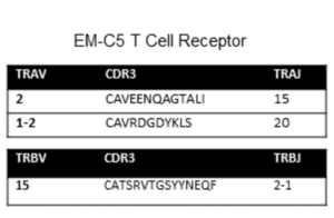 Immorta-MAIT T cell clone EM-C5 Cell Line