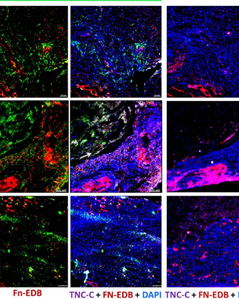 Linasamy et al.; 2019. https