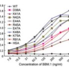 Anti-Microglobulin Beta2 [BBM.1] - Image 2