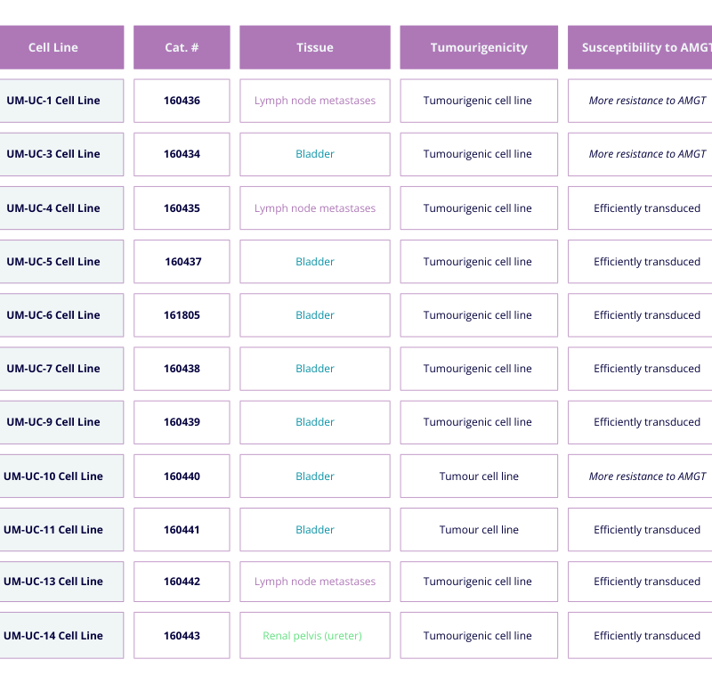 Comparison of UM-UC urothelial cancer cell lines. AMGT = Adenoviral mediated gene transduction.