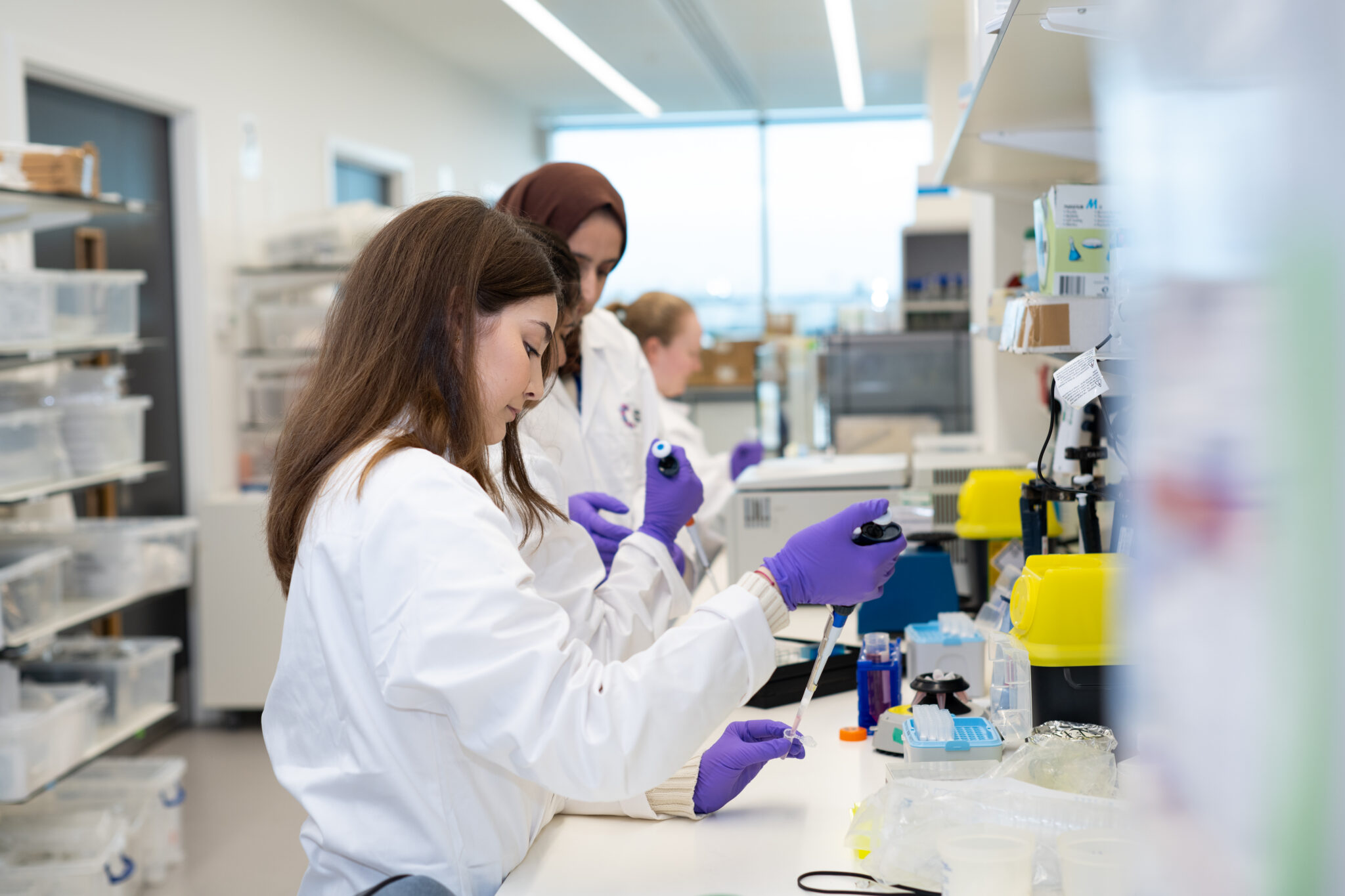 Research License License our research tools | CancerTools