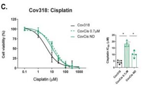 Platinum-resistance can be induced in HGSC cell lines and is maintained after drug withdrawal.