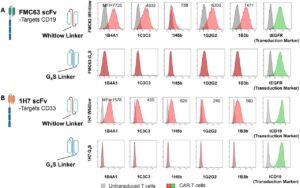 Scientific figure containing flow cytometry histograms