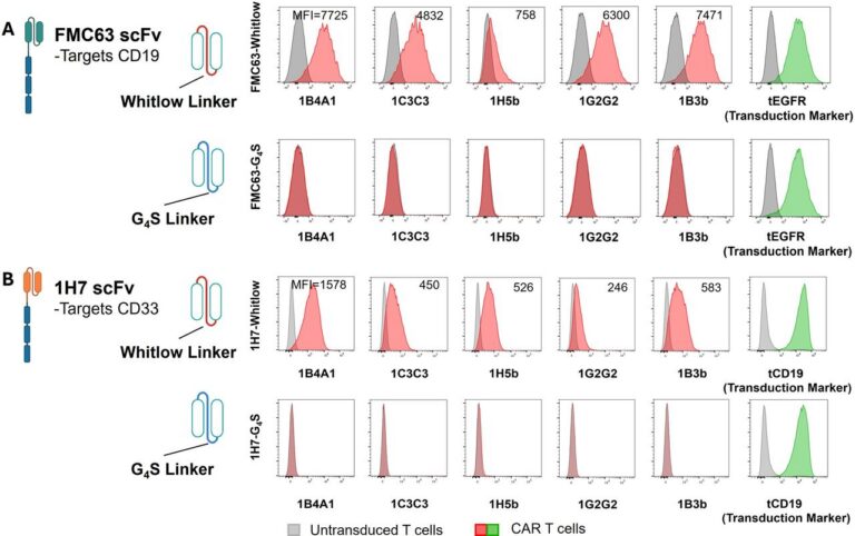 Scientific figure containing flow cytometry histograms