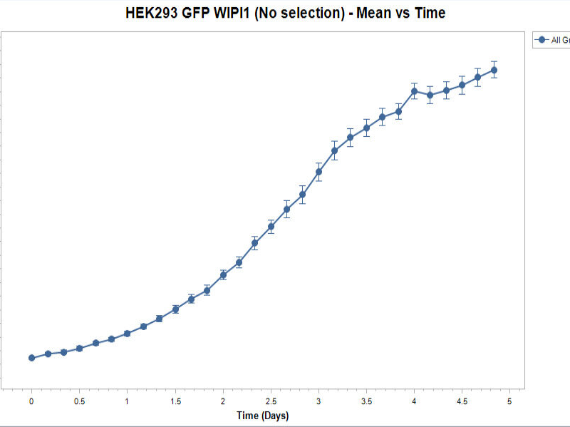 HEK293-A GFP-WIPI1 Cell Line - growth profile. Image courtesy of the European Collection of Authenticated Cell Cultures (ECACC), UK.