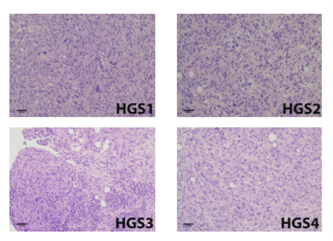 Figure 1B from Maniati et al., 2020