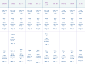 A table to highlight the key differences between Immort-MAIT cell line clones. The first row relates to CD expression. The following rows show T cell receptor expression.