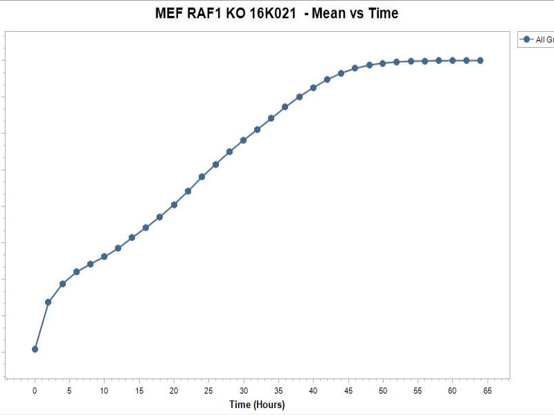 MEF RAF1 KO Cell Line - Growth Profile. Image courtesy of the European Collection of Authenticated Cell Cultures (ECACC), UK.