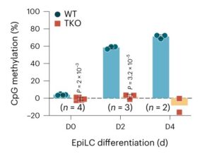 Dnmt-TKO cell line