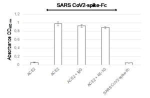 Anti-SARS CoV-2-Spike [4E-1G]