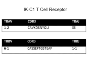 Immorta-MAIT T cell clone IK-C1 cell line