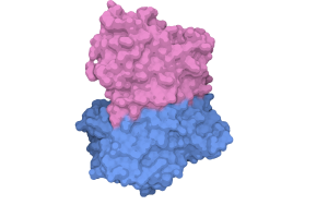 Image: CyclinACDK2 complex. Figure created using Biorender and PDB accession 6GUB.