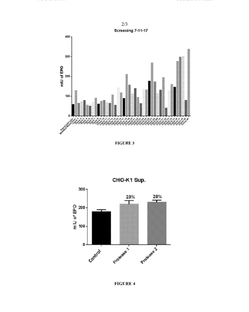 Recombinant CHO-K1 cell line with integrated Technology for enhanced production of second generation Human Erythropoietin protein called Darbepoetin (Darbe), in Adherent Cells - Image 2