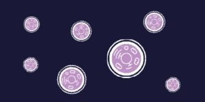 H314 Cell Line